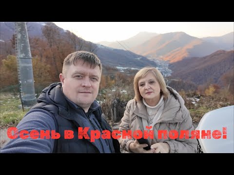 Видео: Осень в Красной поляне номер делюкс за 6500