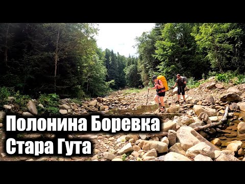 Видео: Полонина Боревка - Стара Гута. Горгани, ч. 3