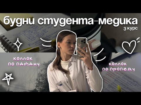 Видео: VLOG будни студента-медика| сложная неделя, коллок по патану, коллок по пропеду, отработка