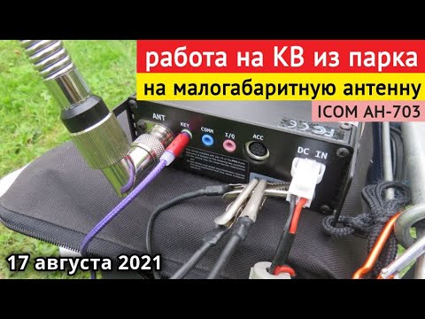 Видео: Радиосвязь на КВ из парка на малогабаритную антенну Icom AH-703 // 17 августа 2021 года