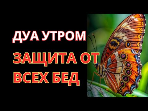 Видео: ☝️УСПЕЙ ВКЛЮЧИТЬ 1раз! СЧАСТЬЕ ВОЙДЁТ В ДОМ, А ПРОБЛЕМЫ ИСЧЕЗНУТ САМИ! Это Чудо 🔊🤲✨