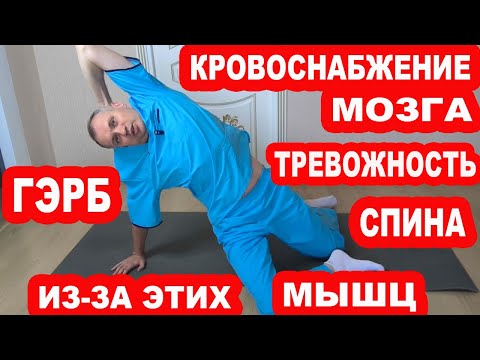 Видео: Восстанавливаем кровоснабжение мозга, Лечим ГЭРБ, Тревожность, Панические атаки, Спину, Колени