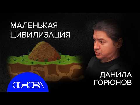 Видео: МУРАВЬИ vs ЛЮДИ: КОЛЛЕКТИВНЫЙ МОЗГ и ПОЧЕМУ ИХ ОБЩЕСТВО КРУЧЕ НАС?
