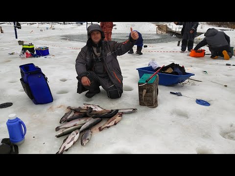 Видео: Отличный улов форели на платнике + подводные съёмки на экшн камеру