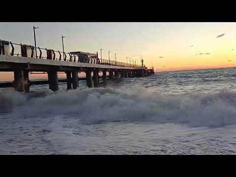 Видео: 29 октября 2025 г.