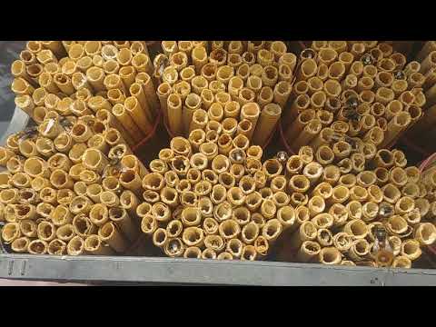 Видео: ОСМИИ - готовы к работе! Нарезка за неделю.