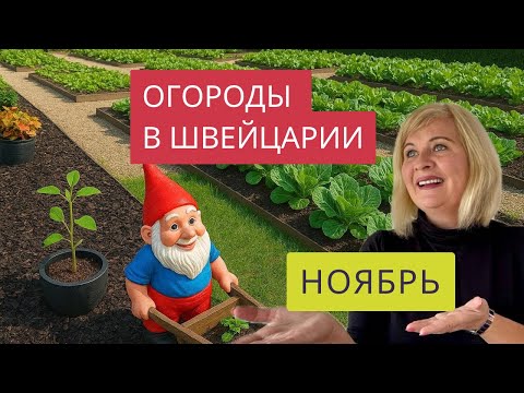 Видео: ШВЕЙЦАРСКИЕ ОГОРОДЫ!🌶️🥬❤️ЗЕЛЕНЬ В НОЯБРЕ И ЗИМА НА НОСУ!❄️Прогулка по садовому товариществу!🇨🇭