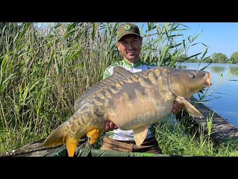 Видео: Как всегда оставаться с УЛОВОМ.