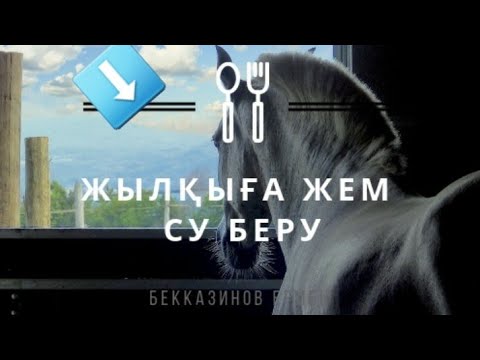 Видео: Жылқыға жем-су  беру уақыты.