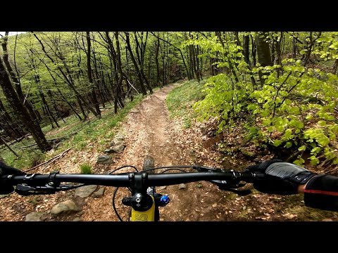 Видео: Копитото - под хотела