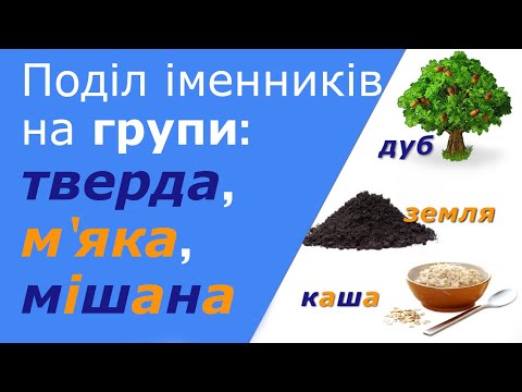 Видео: Як визначити групу іменника (тверда, м'яка, мішана) І та ІІ відмін. Поділ на групи іменників на -р.