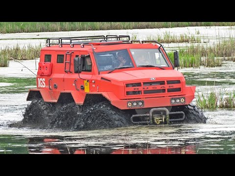 Видео: РУСАК: проверка болотом. Окунаемся в трясину