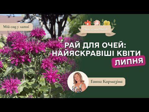 Видео: «Рай для очей: найяскравіші квіти липня». Мій сад у липні.