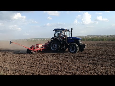 Видео: Кукурудза 2025 вже у землі, чекаємо тепер на сходи.