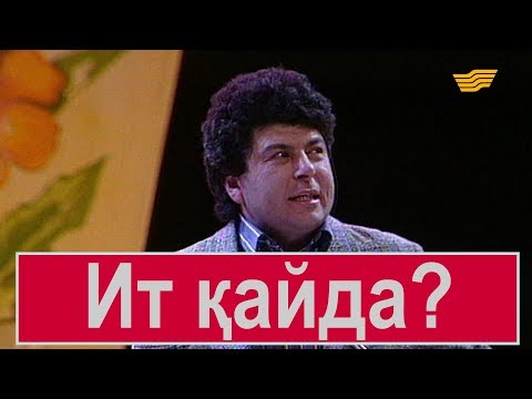 Видео: Ит қайда? «Бауыржан шоу»