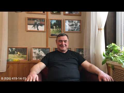 Видео: Рубрика ответы на вопросы