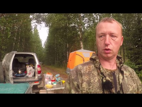 Видео: Лесные Озёра. Рыбалка в КАРЕЛИИ.Новые Места.