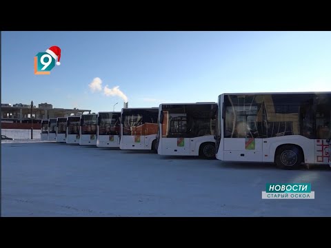 Видео: В Старом Осколе начнут курсировать 12 новых автобусов