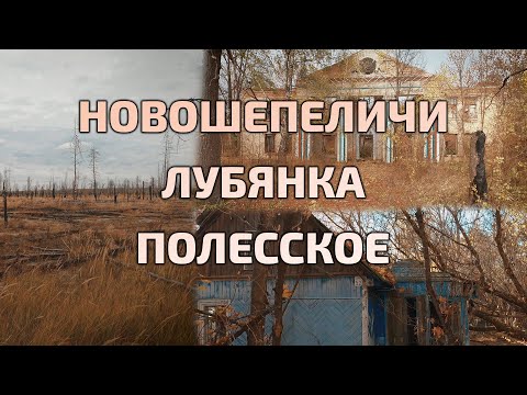 Видео: Новошепеличи, Лубянка, Полесское