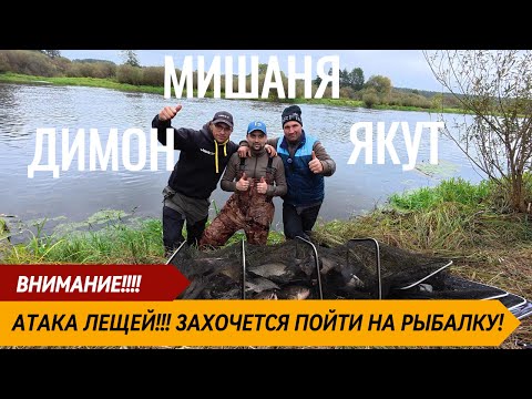 Видео: Лещ Березина 2025 — Бешеный Клев! Фидерная Рыбалка: Крупные Лещи, Советы, Прикормка, Снасти