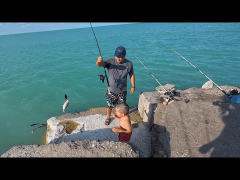 Видео: Приозёрск удивил: Изумрудная вода Балхаша и вобла на каждом забросе!