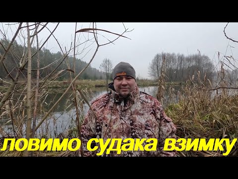 Видео: Ловимо судака зимою на мандули!