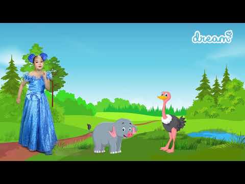 Видео: Зааны хошуу