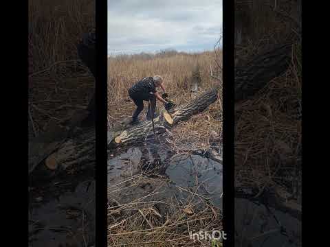 Видео: АЛЬТРУИЗМ НИКТО НЕ ОТМЕНЯЛ. ЧИСТИМ ОЗЕРКО 