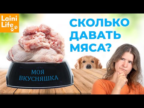 Видео: Сколько МЯСА давать собаке?