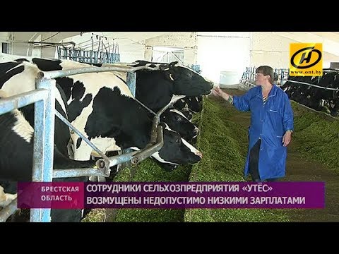 Видео: Почему работникам «Утёса» так мало платят?