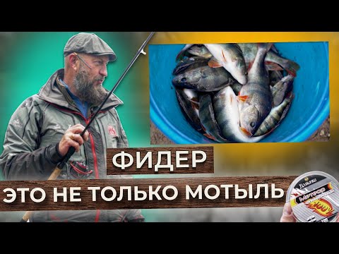 Видео: ПОКА ЛЁД НЕ ВСТАЛ! Ловим хищника на фидер.