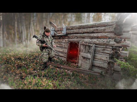 Видео: НАШЁЛ СТАРУЮ ИЗБУ НО БЫЛО ПОЗДНО. ПОХОД ПОИСКИ ИЗБЫ В ГЛУШИ. ЧТО БЫЛО ВНУТРИ ЗАБРОШЕННОЙ ИЗБУШКИ.