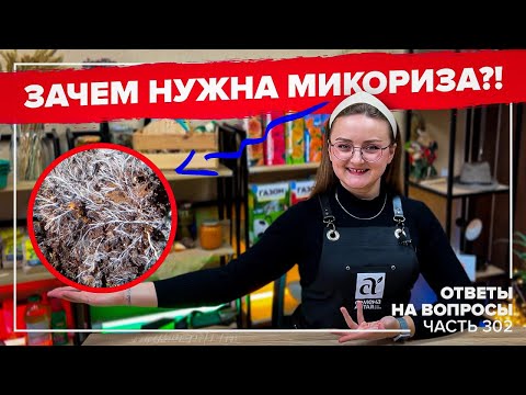 Видео: ЧТО ТАКОЕ МИКОРИЗА?! КАК БОРОТЬСЯ СО СЛИЗНЯМИ?! Ответы на САМЫЕ частые вопросы №302