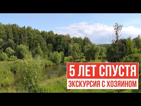 Видео: Пруд через 5 лет. Автор -Хольцер