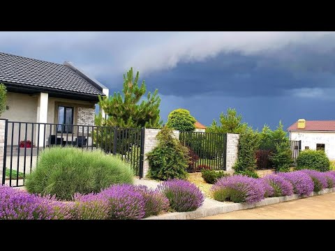 Видео: Прозорі межі