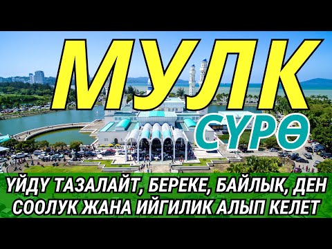 Видео: АЛ-МУЛК СҮРӨСҮ! ҮЙҮҢҮЗДҮ ЖИН ШАЙТАНДАН ТАЗАЛАЙТ. ҮЙ БҮЛӨГҮҢҮЗГӨ ТЫНЧТЫК, БЕРЕКЕ, ЫРЫСКЫ, АЛЫП КЕЛЕТ.