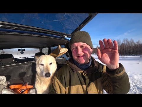 Видео: У Лесного дома.  За чагой февральским днём!!!