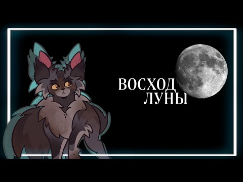 Видео: ➛ Коты Воители - Восход Луны | в двух словах | второй цикл