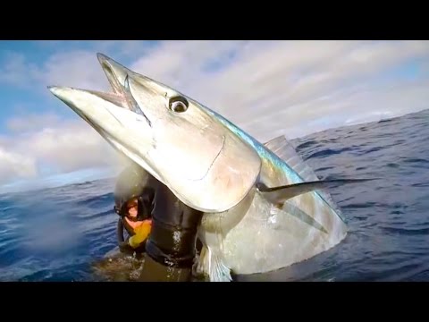 Видео: Подводная Охота. Трофейная Ваху на 40 кг.