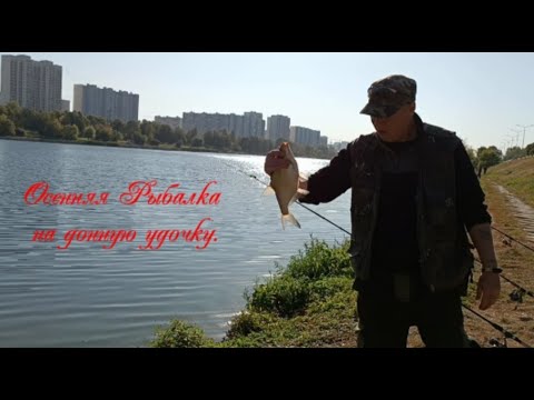 Видео: Осенняя рыбалка на донную удочку .#рыбалка #доннаяудочка #рыбалканадонки