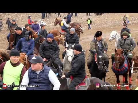 Видео: Бузкаши Улоки Карамазор Зарчашма 8 01 2023 Полный версия Жавлонбек Кенжаев Купкари Кукмар 2023