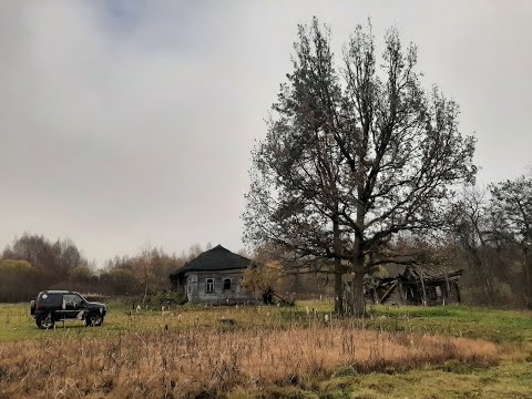 Видео: Осенняя Николо   Царевна