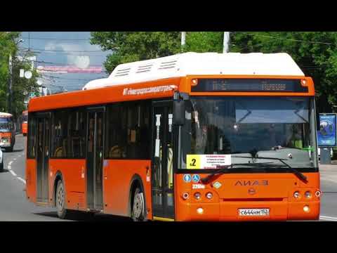 Видео: Все автобусы города Нижний Новгород часть 1 #автобус