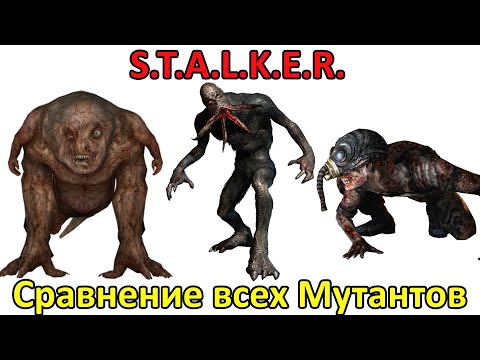 Видео: Сравнение всех мутантов из S.T.A.L.K.E.R.