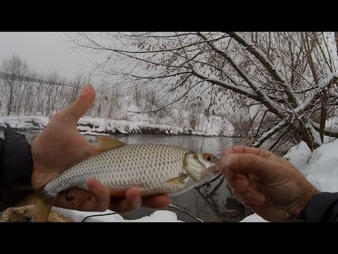 Видео: Плотва на СПИННИНГ # Зимний МОРМЫШИНГ # Street Fishing
