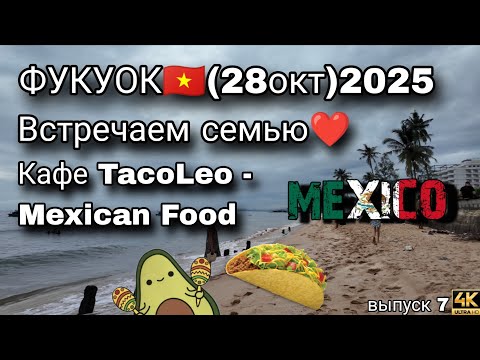 Видео: Наша кошка прилетела на Фукуок! 🇻🇳 Семейный день и мексиканская еда 🌮