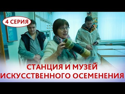 Видео: Центральная станция искусственного осеменения в Быково. Экскурсия и музей.