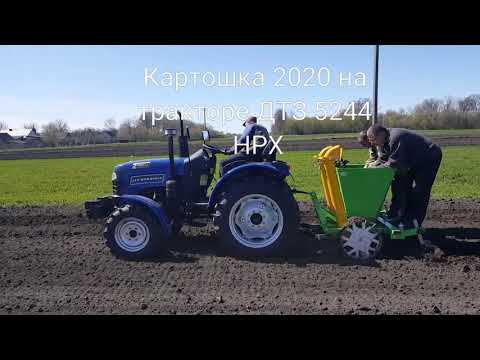 Видео: Посадка картоплі  2020 на ДТЗ 5244 HPX.