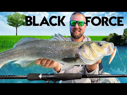 Видео: С ТАЗИ ВЪДИЦА ХВАНАХ ВСИЧКИ ВИДОВЕ ХИЩНИЦИ! HEARTY RISE BLACK FORCE