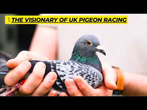 Видео: Победители Barcelona Racing Pigeon 2020–2025 | Секреты наконец раскрыты